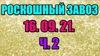 🌸Продажа орхидей. ( Завоз 16. 09. 21 г.) 2 ч. Отправка только по Украине. ЗАМЕЧТАТЕЛЬНЫЕ КРАСОТКИ👍