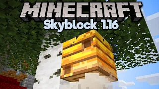 How To Spawn Bees & Farm Honey in Skyblock! ▫ Minecraft 1.16 Skyblock (Tutorial Let's Play)[Part 15]