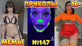 17 МИНУТ СМЕХА ДО СЛЁЗ | ЛУЧШИЕ ПРИКОЛЫ | ВЗРОСЛЫЙ ЮМОР l TikTok УГАР l #147