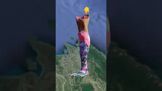 Giant Cut Leg 🦵 | Google Earth and Google Maps 🌎 #shorts