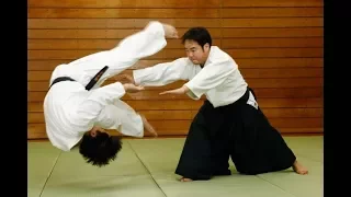 We study Aikido. Kaiten nage