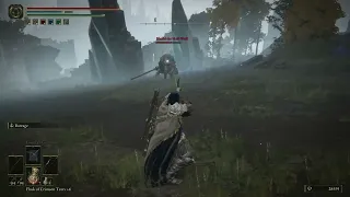 Elden Ring -Blaidd, The Half Wolf- vs. Archer... The Fight I didn't Want to Fight.