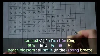 Classical Chinese Love Poem w/ subtitles, pinyin and translation | Write Chinese Characters