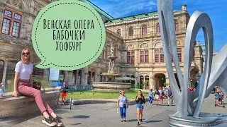 Венская Опера | Хофбург | Дом бабочек (Schmetterling Haus)| Hofburg Opera Vienna | #Авиамания