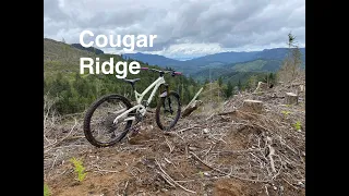 Cougar Ridge - Galbraith (Bellingham) MTB