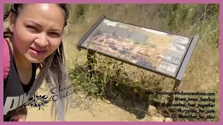 Malibu Creek Rock Pools