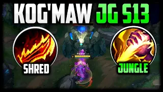 Kog'Maw Jungle Season 13 Gameplay Tutorial Guide (WHAT HAVE THEY DONT TO MY BOI🐶) League of Legends