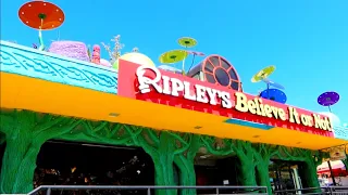 The New RIPLEY's Believe It Or NOT! WISCONSIN DELLS | Slides & Immersive Art