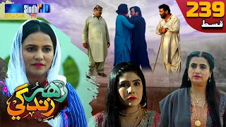 Zahar Zindagi - Ep 239 | Sindh TV Soap Serial | SindhTVHD Drama