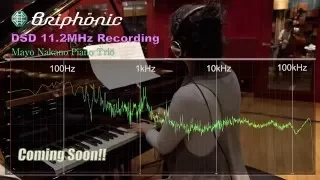 Briphonic DSD 256 11.2MHz Recording Frequency Response "Mayo Nakano Piano Trio"　ハイレゾ