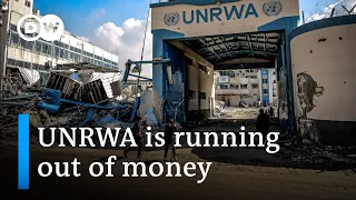 What impact would the collapse of UNRWA have on the humanitarian situation in Gaza? | DW News