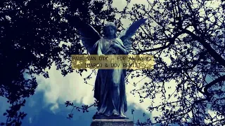 Paul Van Dyk - For An Angel [Marco & Dov Remix]