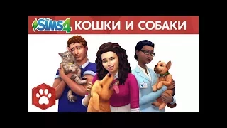 Анонс обновления «Кошки и собаки» для игры The Sims 4!