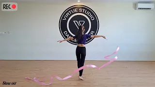 Ribbon Dance Basic Moves #ribbondance #dancevideo #dancer #orientaldance