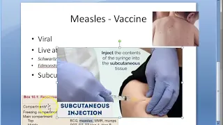 Pediatrics Measles Vaccine Disease Virus Clinical Features Complications Danger Contraindications