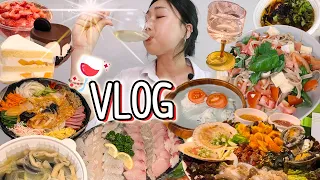 ENG) The day I drink for 14hours...🤪🍷 MUKBANG VLOG Korean food with daily life