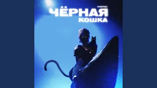 Чёрная кошка