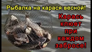 Рыбалка на карася весной в мае 2021! Карась клюет при каждом забросе! Часть 2! Сезон открыт!