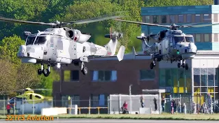 [4K] Rare Visitors! 4X Royal Navy Wildcat Helicopters take-off at Groningen airport Eelde