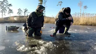 ЛОВЛЯ КРУПНЫХ КАРАСЕЙ НА ЛЕСНОМ ОЗЕРЕ! Зимняя рыбалка на карася, Карась