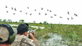 Early Season TEAL HUNTING Compilation (Catch and Cook)