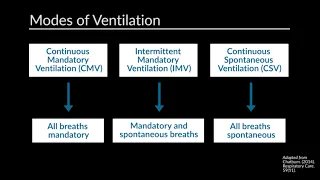 "Conventional Mechanical Ventilation: Initial Settings" by Barry Grenier for OPENPediatrics