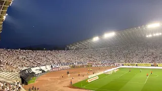 Dalmatinac sam - Hajduk v Vitória