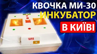 Инкубатор Квочка ми 30-1 (Особенность работы и выбор Температуры)