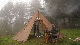 Camping in Heavy Rain With My Dog / Rain Storm / Wood Stove