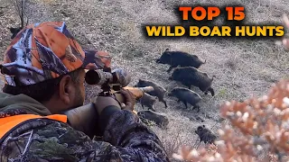 TOP 15 WILD BOAR HUNTS - BEST SCENES - EN İYİ 15 DOMUZ VURUŞU - CHASSE AU SANGLIER