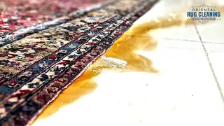 Rug Washing Compilation