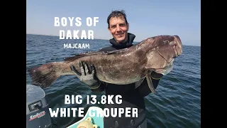 CHASSE SOUS MARINE🤩EXCEPTIONNEL GROS MEROU BLANC 🎯- MAJCAAM - SPEARFISHING - Ep 126