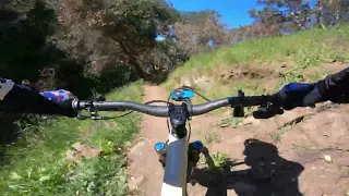 2022 Stumpjumper Evo Pro - Toro Park - Pipeline