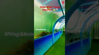 Under Water Tunnel Aquarium  | Beautiful Aquarium | Surat Mela 2023 |