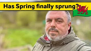 54. Has Spring Finally Arrived? - Living Alone in Wales (April 2024)