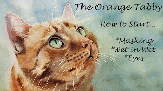 Start a Painting: How to Watercolor Cat Eyes - Trace, Mask Whiskers, Wet in Wet Background +More