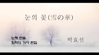 눈의 꽃 1시간 (미안하다,사랑한다 OST) (雪の華) -  박효신