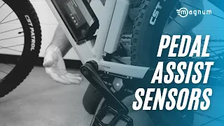 E-Bike Pedal Assist Sensors | E-bike 101