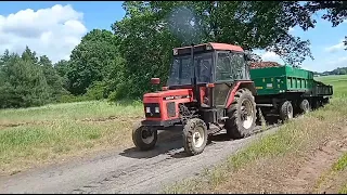 Wywóz obornika na pryzme // Zetor 5320