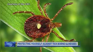 How you can protect you and your pets from tick-borne illnesses