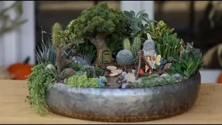 Succulent Treehouse Fairy Garden