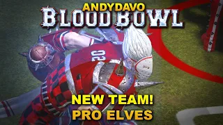 AndyDavo Blood Bowl NEW TEAM: Elven Union (Pro Elves) Vs Ogres