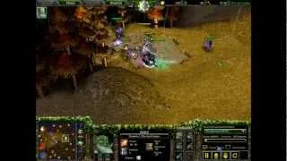 Funny Warcraft 3 (8)