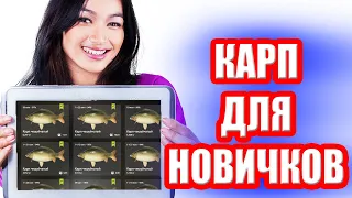 Где и как НОВИЧКУ ловить КАРПА ? ● Русская Рыбалка 4 | РР4