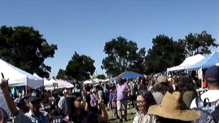 SHORELINE LOT  GRATEFUL DEAD