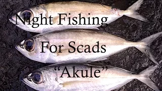 NIGHT FISHING FOR SCADS "AKULE" !