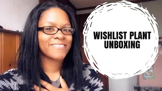 Wish list plant unboxing | Etsy shop The Little Jungle