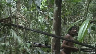 Uncontacted tribe threatened by loggers- BBC World Service