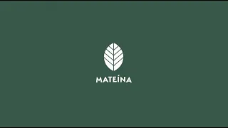 Mateina - Motion Design