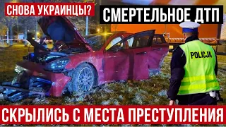 В Польше устроили смертельное ДТП и скрылись! Пьяные украинцы?